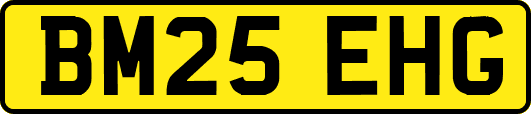 BM25EHG