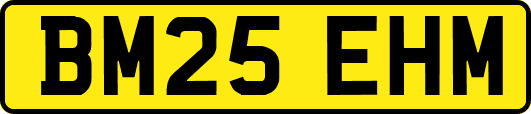 BM25EHM