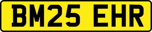 BM25EHR