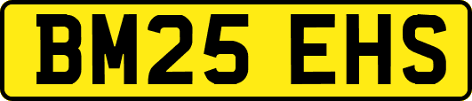 BM25EHS