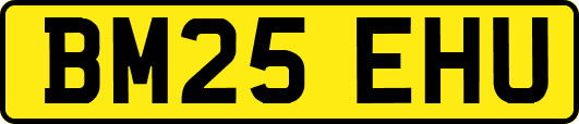 BM25EHU