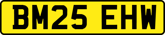 BM25EHW