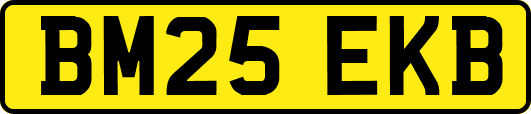 BM25EKB