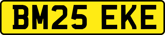 BM25EKE