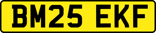 BM25EKF