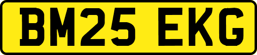 BM25EKG