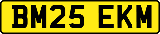 BM25EKM