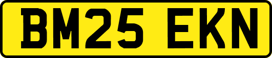 BM25EKN