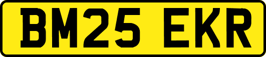 BM25EKR