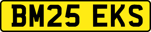 BM25EKS