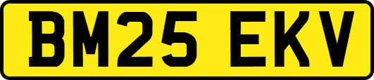 BM25EKV