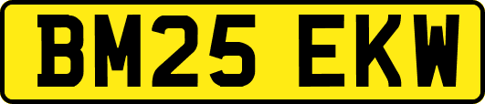 BM25EKW