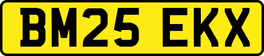 BM25EKX