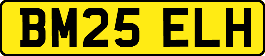 BM25ELH