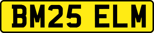 BM25ELM