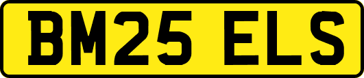 BM25ELS