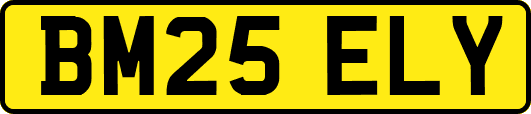 BM25ELY
