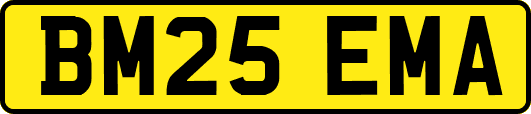 BM25EMA
