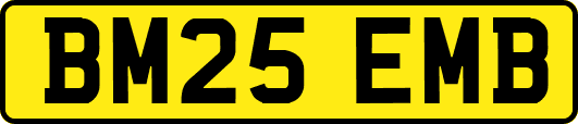 BM25EMB