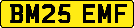 BM25EMF