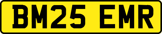 BM25EMR