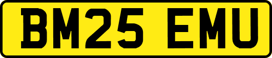 BM25EMU