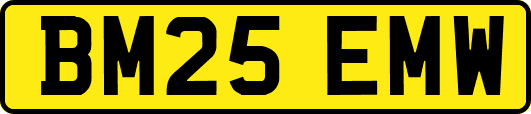 BM25EMW