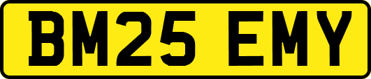 BM25EMY