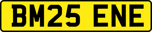 BM25ENE