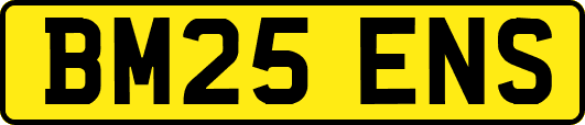 BM25ENS
