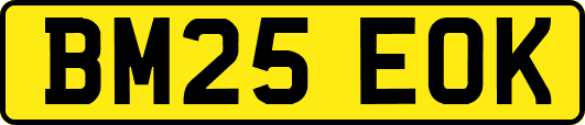 BM25EOK