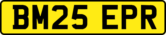 BM25EPR