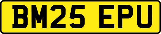 BM25EPU