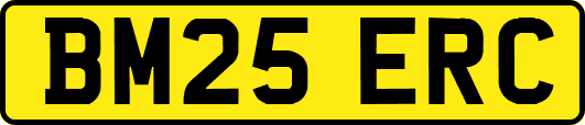 BM25ERC