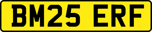 BM25ERF