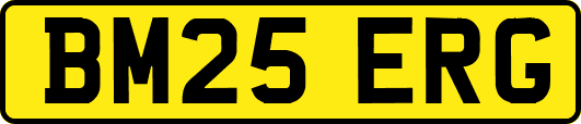 BM25ERG