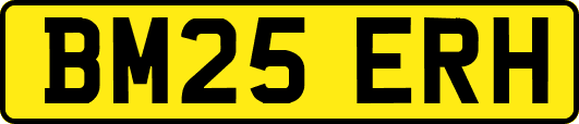 BM25ERH