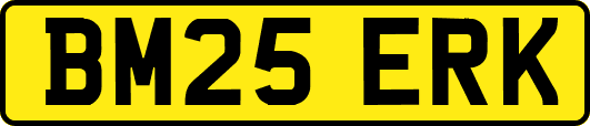 BM25ERK