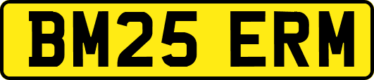 BM25ERM