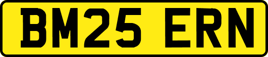 BM25ERN