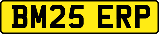 BM25ERP