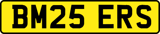 BM25ERS