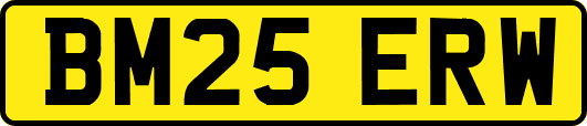 BM25ERW