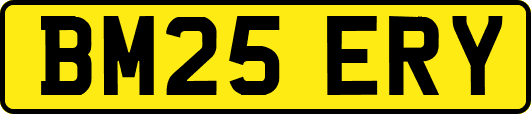 BM25ERY