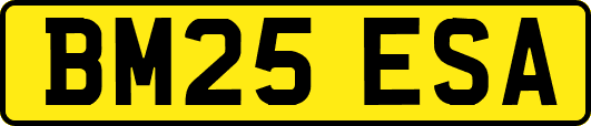 BM25ESA