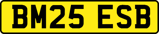 BM25ESB