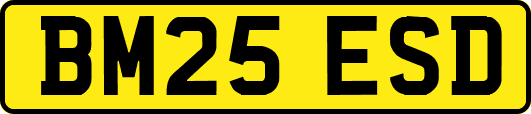 BM25ESD