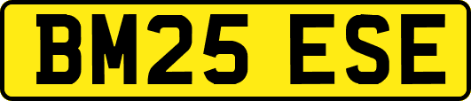 BM25ESE
