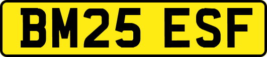 BM25ESF