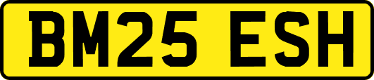 BM25ESH